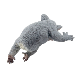 Koala Toymany