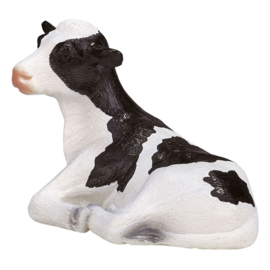 Holstein calf   Mojo 387082