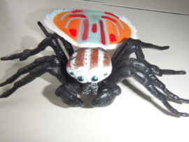 Pauwstaart Springspin   Maratus volans