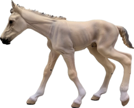 Buckskin Roan Mustang merrie en veulen