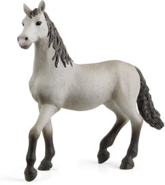 Andalusier jong paard (Pura Raza) Schleich 13924