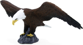 American eagle    Mojo 387027