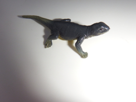 Iguana mini