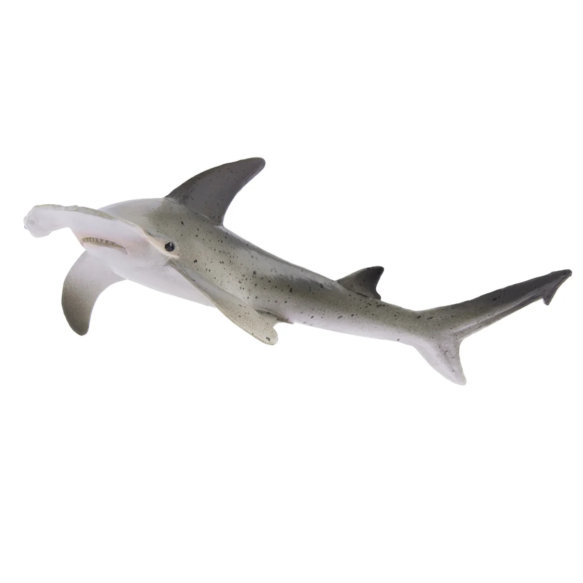 Bonnethead Bonnethaai  Toymany