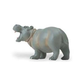 Hippopotamus Baby  S270529