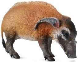 Red River Hog CollectA 88554