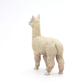 Alpaca  Papo 50250