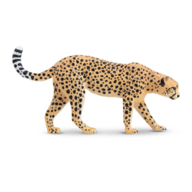 Cheetah male Toymany