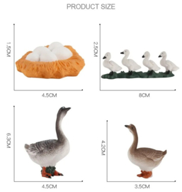 Gans levenscyclus