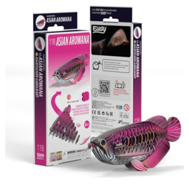 Arowana  Eugy 3D