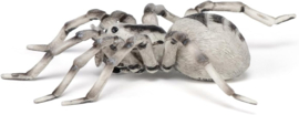 Tarantula Papo 50190