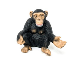 Chimpanzee female 14191 retired