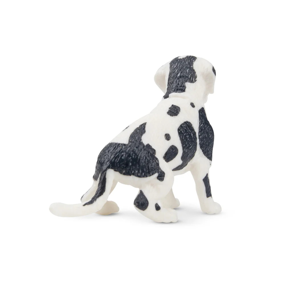 Great dane puppy Toymany