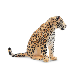 Jaguar Sitting Female  Toymany