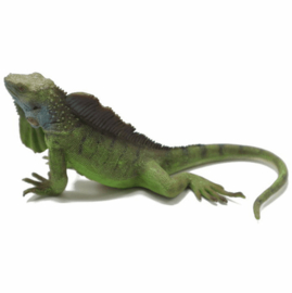 Iguana CollectA 88965