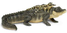 Alligator met babies  XXL S259629