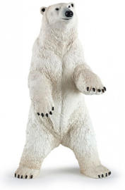 Polar Bear standing