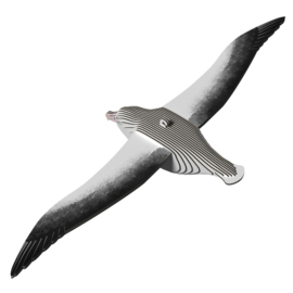 Albatros  Eugy 3D