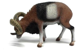 Mouflon CollectA 88682