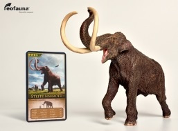 Mammoth       Mammuthus  trogontherii Eofauna