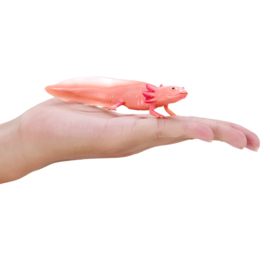 Axolotl   Mojö 381108 -    june 2025