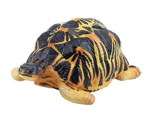 Strakenschildpad