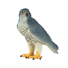 Peregrin falcon  Mojo 381056