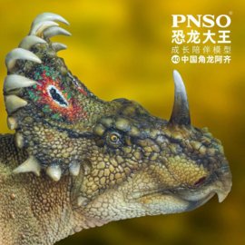 Sinoceratops A-Qi PNSO 102040