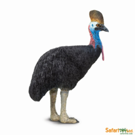 Cassowary  S225429 Cassowary