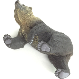 Bruine beer  Kitan Club Nature Techni Colour