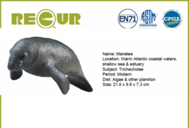 Manatee XXL Recur