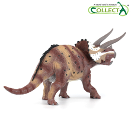 Triceratops horridus 1:40 DELUXE  CollectA 88950