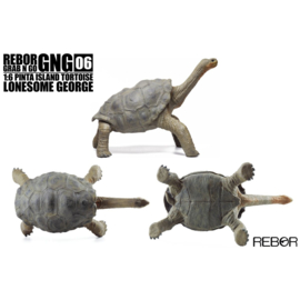 Pinta Island Tortoise "Lonesome George" REBOR 161052
