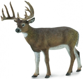 White-tailed deer CollectA 88832