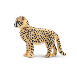 Cheetah cub Toymany