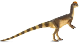 Dilophosaurus Safari 100508