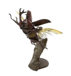 Rhinoceros beetle Bandai    flying