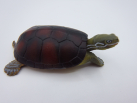 Pond turtle  Takara Tomy