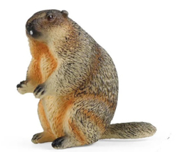 Prairie dog standing