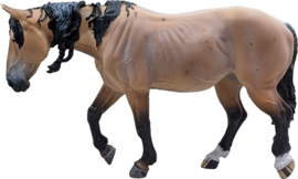 Buckskin Roan Mustang merrie en veulen