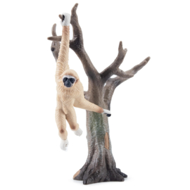 Withandgibbon
