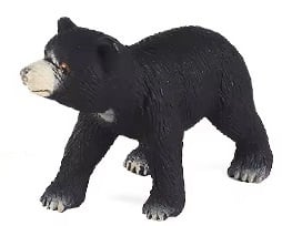 Moon bear  young