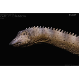 preorder  Female Diplodocus carnegii "Catch the Rainbow"