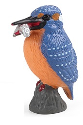 IJsvogel  merkloos