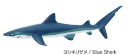 Blacktip reef shark  2e hands