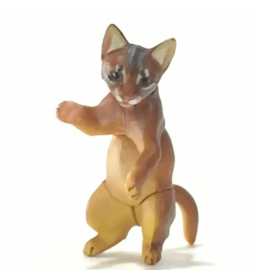 Abyssinian Cat Kitten Pet