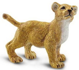 Lion Cub   S100415