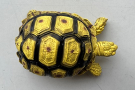 Landschildpad geel/zwart    XL