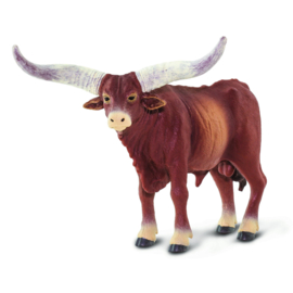 Watusi Bull   S100202