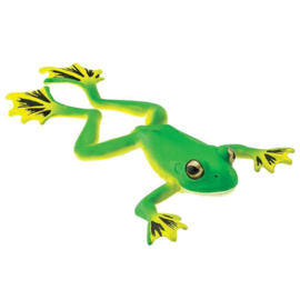Flying Tree Frog    Safari S100259